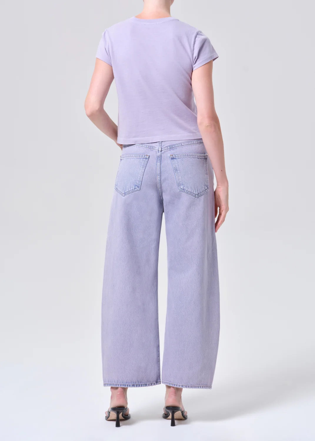 Agolde Low Curve Crop Jean In Aura
