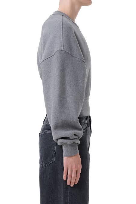 AGOLDE Kit Shrunken Crewneck Sweatshirt in Heather Grey, side view on model