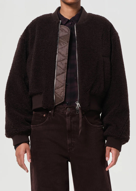 AGOLDE Iona Skye Jacket in Chocolate — front view cropped chocolate denim jacket