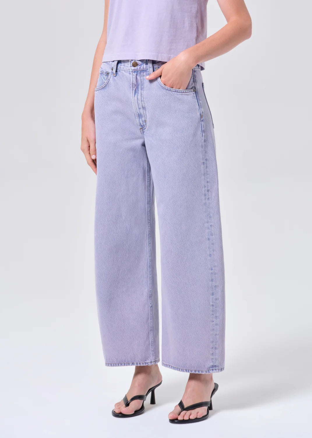 Agolde Low Curve Crop Jean In Aura