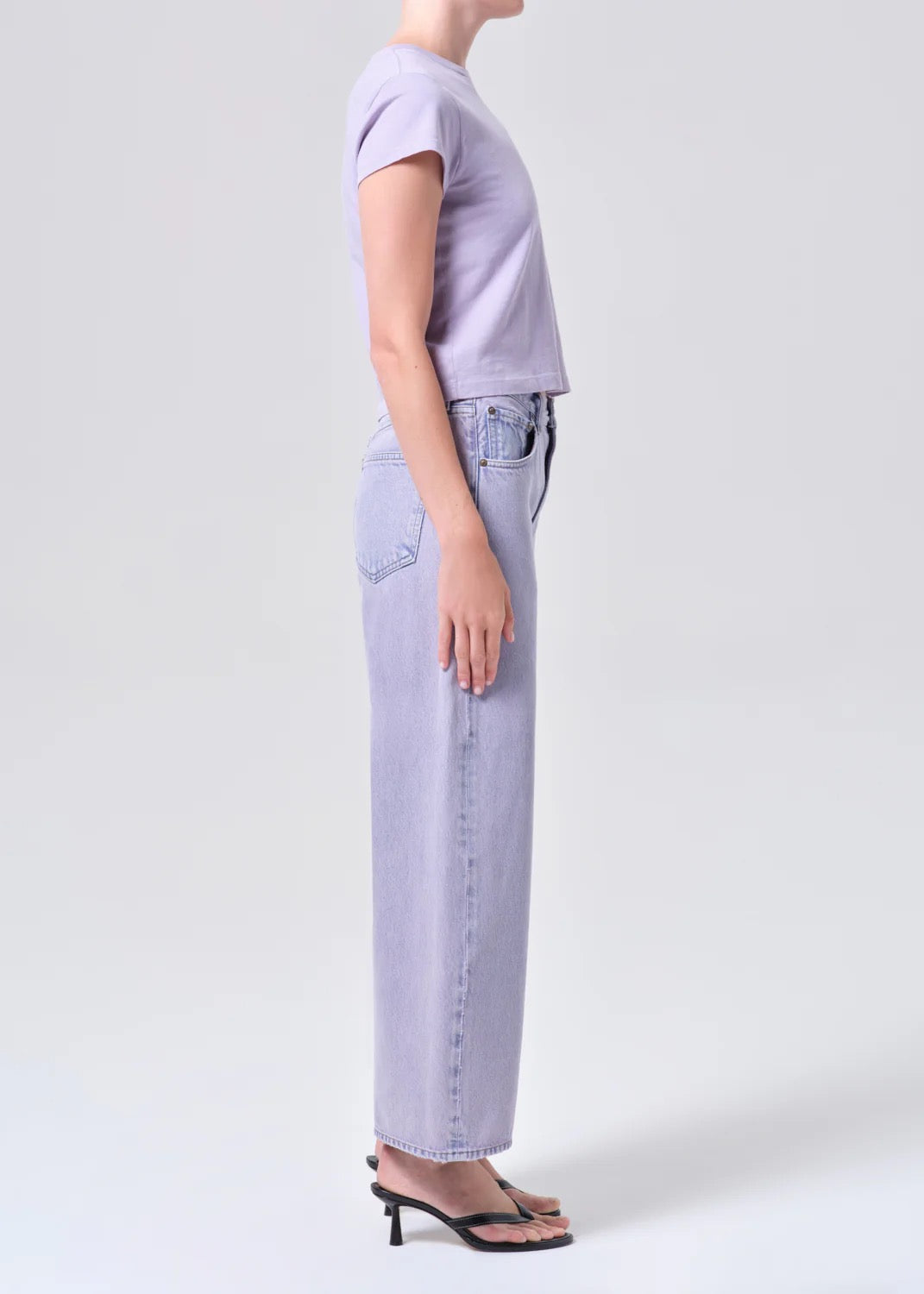 Agolde Low Curve Crop Jean In Aura