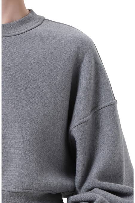AGOLDE Kit Shrunken Crewneck Sweatshirt in Heather Grey, close-up view of crewneck and sleeve